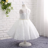 A Line Round Neck Sleeveless Lace Flower Girl Dresses With Pearls WH18809