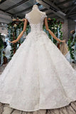 New Arrival Wedding Dresses Cap Sleeves High Neck Ball Gown With Appliques PW794