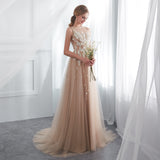 A Line Sleeveless Appliques Lace Court Train Prom Dress WH26661