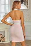 Pink Halter Sleeveless Zipper Low Back Short Homecoming Dresses