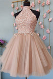 Fashion A Line Halter Champagne Tulle Homecoming Dress