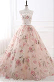 Ball Gown Round Neck Tulle Embroidery Beading With Appliques, Quinceanera Dress PD09