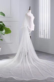 Princess Tulle Long Length Vintage Wedding Veils Bridal Veils PW181