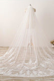 3M Long Embroidered Lace Appliques Tulle Cathedral Veil for Wedding,Wedding Veil uk PH869