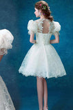 Princess Vintage Ivory Short Prom Dress,Sweet 16 Cocktail Dress,Graduation Dresses PM114